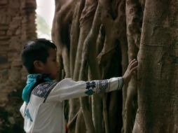 La primera versión de “Movimiento Naranja” se publicó en diciembre y hasta mayo tenía cinco millones de visitas en YouTube. TWITTER / @MovCiudadanoMX