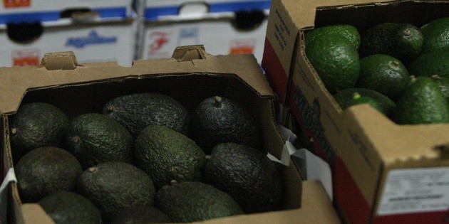 Aumenta consumo de alimentos frescos mexicanos en Canad&aacute;