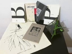 Impulso. Raúl Aguayo y Nicolás Cuéllar arrancaron con este proyecto hace cinco años y hoy cuentan con diversas publicaciones. ESPECIAL