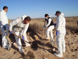 El hombre encontró varios fragmentos de hueso y un cráneo. AFP/ARCHIVO