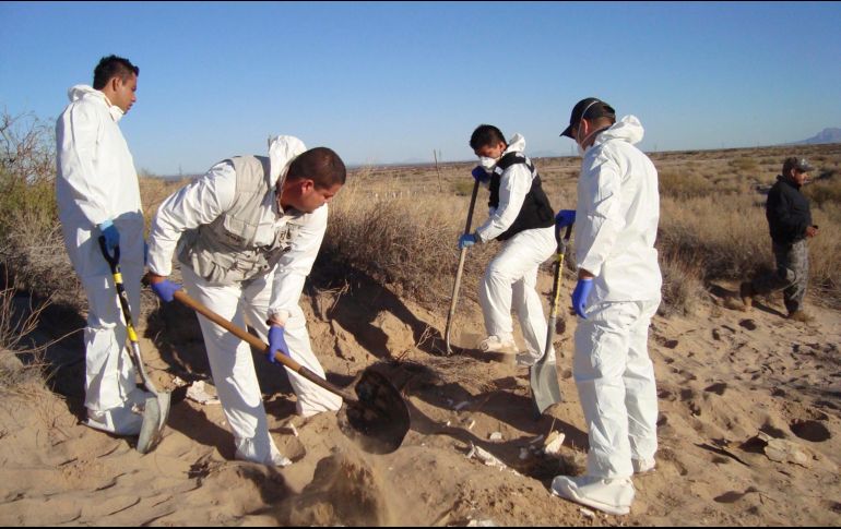 El hombre encontró varios fragmentos de hueso y un cráneo. AFP/ARCHIVO