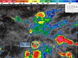 Indican que la ubicación del centro del ciclón es de 10.0 grados latitud norte y 88.0 grados de longitud oeste. ESPECIAL/SMN