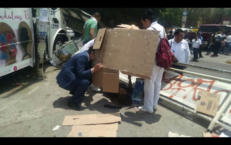 Se comenzó con la valoración de los lesionados para trasladarlos a los puestos de socorros. ESPECIAL/ Protección Civil y Bomberos Jalisco