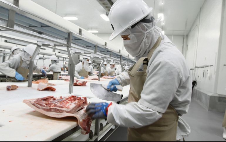 Beneficio. Distintos productores internacionales buscan entrar al amplio sector comercialde la carne porcina en el país. EL INFORMADOR/ARCHIVO
