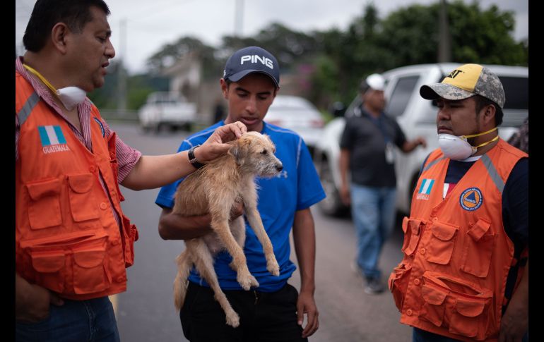 Hasta ahora el Instituto Nacional de Sismología, Vulcanología, Meteorología e Hidrología (Insivumeh) no ha reportada ninguna novedad en el volcán de Fuego. EFE/ S. Billy