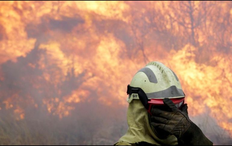 Hasta el momento, Jalisco se encuentra en quinto lugar por número de incendios en el contexto nacional. EFE / ARCHIVO