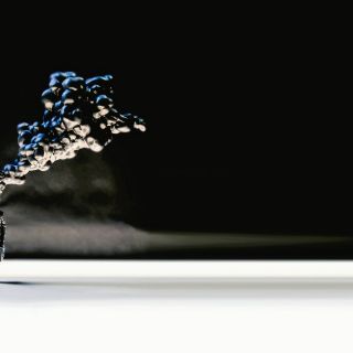 Dark y Drinks se apoderan del Ex Convento