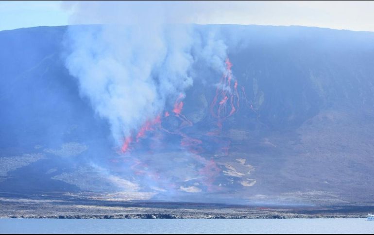 Hasta el momento se registra una columna de humo sobre el cráter del volcán La Cumbre y un flujo de lava que desciende por el flanco norte. TWITTER / @parquegalapagos
