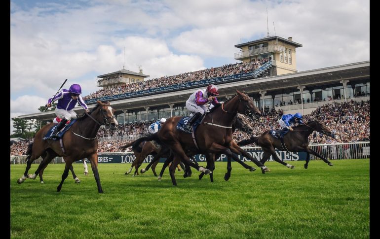 PJ Mcdonald dirige al caballo 