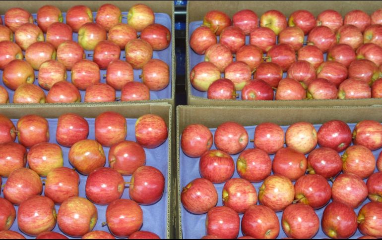 Las manzanas importadas de Washington serán de los productos más afectados por los aranceles mexicanos. EL INFORMADOR/Archivo