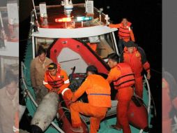 Hasta el momento 18 personas han sido rescatadas y una defunción fue confirmada. AFP / L. Fahmi