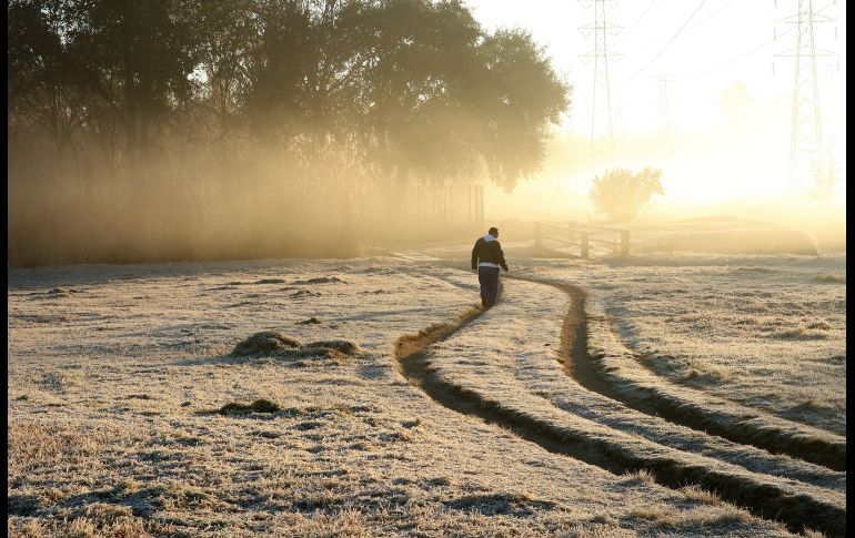 El amanecer en un campo helado en Johannesburgo, Sudáfrica. EFE/K. Ludbrook