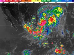 Las excesivas lluvias ocurridas ocasionaron daños en cultivos de maíz y sorgo establecidos en diferentes localidades de varios municipios. TWITTER / @conagua_clima