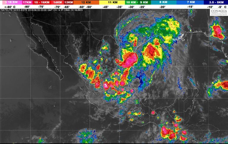Las excesivas lluvias ocurridas ocasionaron daños en cultivos de maíz y sorgo establecidos en diferentes localidades de varios municipios. TWITTER / @conagua_clima