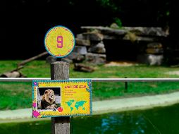La fuga se produce la mañana de este jueves, horario en el que el parque está abierto exclusivamente para sus socios. AFP / ARCHIVO