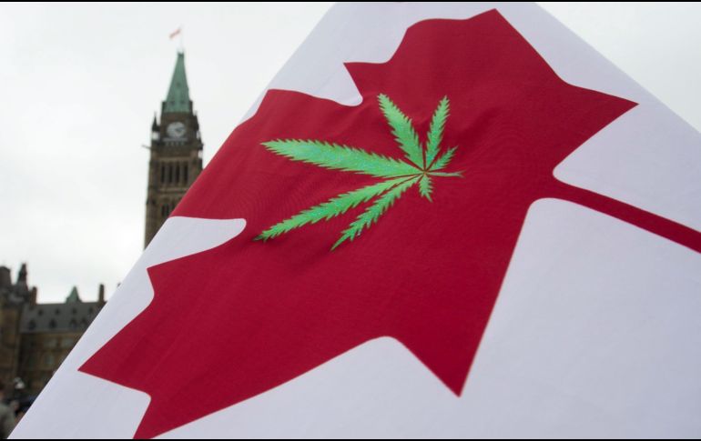 Canadá es el segundo país que aprueba el uso recreativo del cannabis, después de que Uruguay lo hiciera en 2013. AP/ A. Wyld