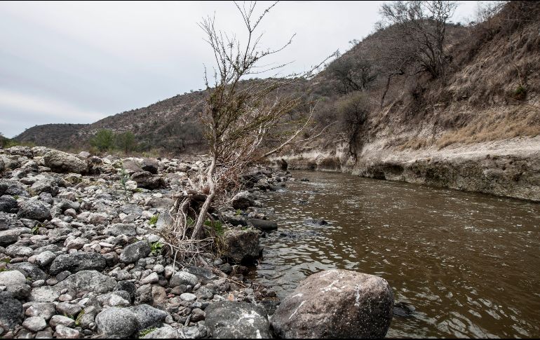 Con el esquema actual, la Zona Metropolitana de Guadalajara no recibe agua de la presa El Zapotillo. EL INFORMADOR / ARCHIVO