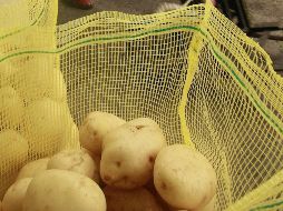 Alertan sobre una posibilidad de dispersión de plagas cuarentenarias provenientes del extranjero que generaría la inminente desaparición del sector dedicado a la producción de papa. EL INFORMADOR / ARCHIVO