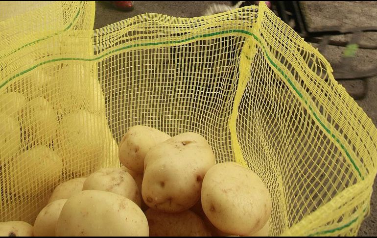 Alertan sobre una posibilidad de dispersión de plagas cuarentenarias provenientes del extranjero que generaría la inminente desaparición del sector dedicado a la producción de papa. EL INFORMADOR / ARCHIVO