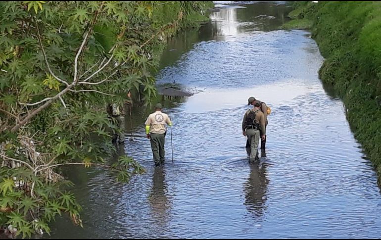 Personal de la corporación siguió con la búsqueda en el arroyo seco este martes en la zona de El Mante, pero no localizaron a nadie. ESPECIAL / Protección Civil Zapopan