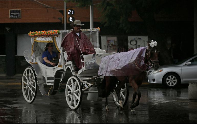 Pronostican más lluvias para este jueves en territorio jalisciense. EL INFORMADOR / F. Atilano