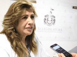 La diputada panista, Pilar Pérez Chavira, consideró que la reforma es oportuna dado que las administraciones locales y estatales están a punto de terminar. ESPECIAL /