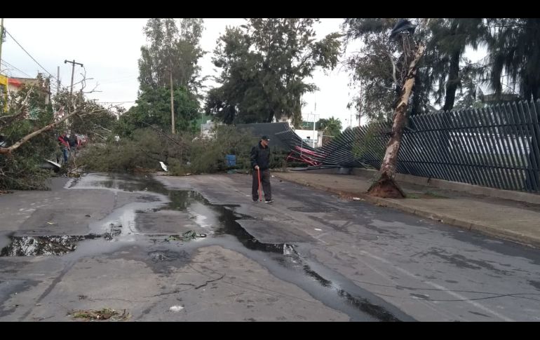 Las lluvias de ayer generaron afectación a 24 casas de la colonia Alcalde Barranquitas, y se registraron encharcamientos en la vía pública en colonias como Tetlán Río, Monumental y San Carlos. ESPECIAL/ Protección Civil Jalisco