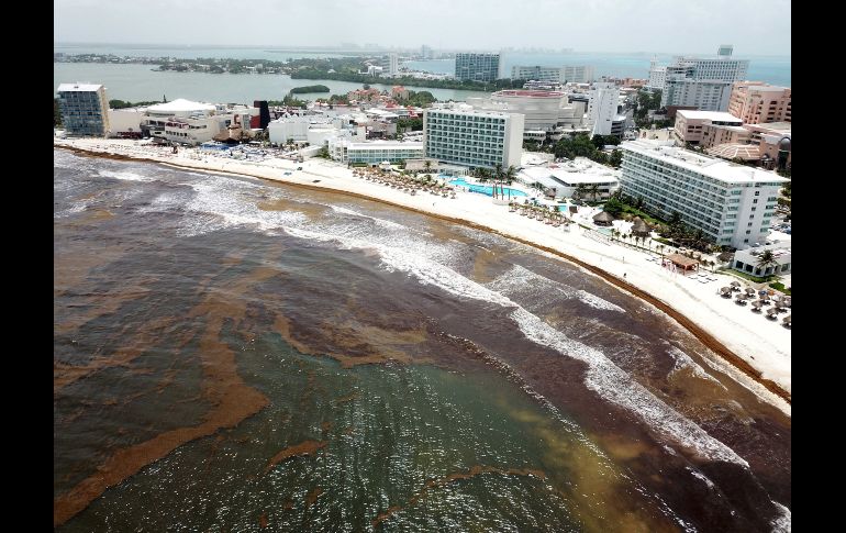 La llegada del sargazo a playas de Cancún  este jueves. EFE/A. Cupul
