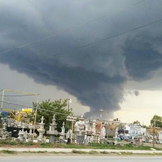 Tormenta tipo tornado derriba 200 árboles