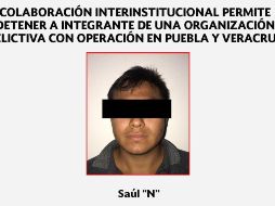 La captura derivó del intercambio de información entre los gobiernos de Puebla y Veracruz. TWITTER / @PoliciaFedMx