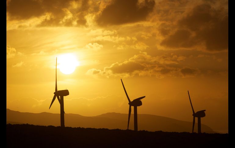 Molinos del parque eólico de la localidad española de Costa Calma, dentro del parque natural de Jandia. EFE/C. de Saá