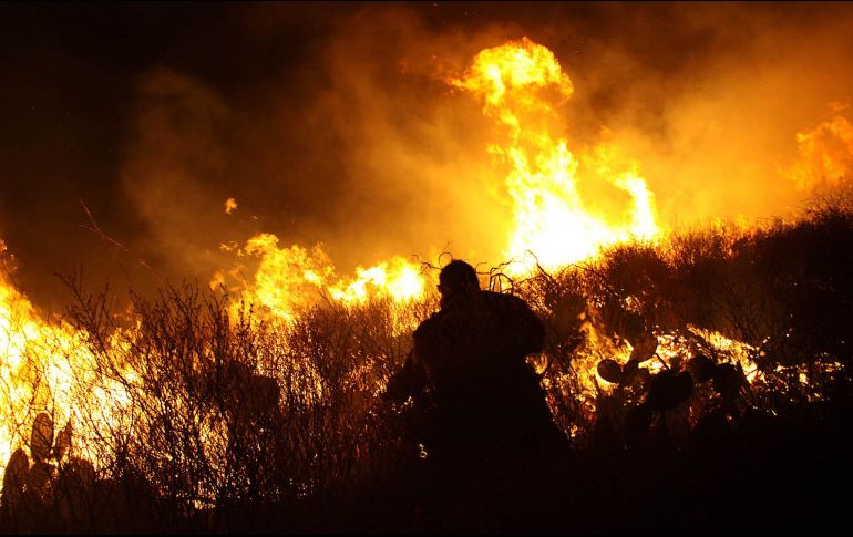 Jalisco, junto a los estados de Chihuahua, Sonora, Durango, Guerrero, Oaxaca, Nayarit, Michoacán, Coahuila y Zacatecas fueron las entidades con la mayor cantidad de superficie afectada. NTX / ARCHIVO