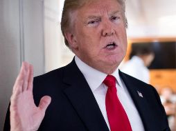 Trump también defendió a la principal agencia encargada de las deportaciones en EU, el Servicio de Inmigración y Control de Aduanas (ICE), ante las peticiones de algunos legisladores demócratas de eliminarla. AFP / S. Loeb