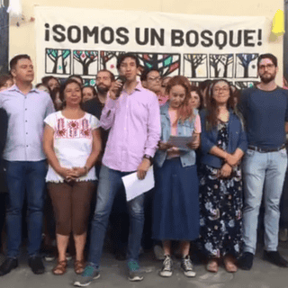 Kumamoto se queda fuera del Senado