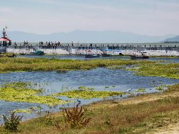 Desde el 19 de junio el Lago de Chapala ha empezado con su recuperación. EL INFORMADOR/ ARCHIVO
