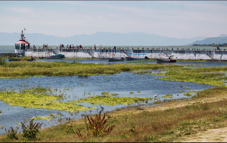 Desde el 19 de junio el Lago de Chapala ha empezado con su recuperación. EL INFORMADOR/ ARCHIVO