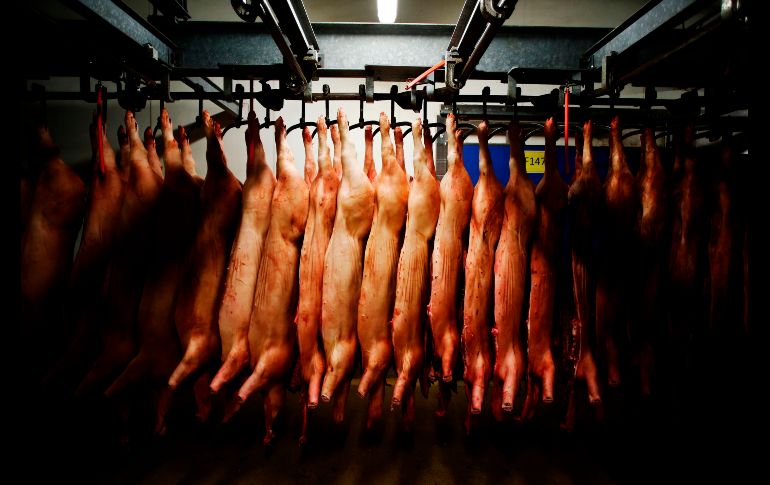 Carne se procesa en el matadero del grupo AIM en Sainte Cécile, Francia, a dos días de su cierre. La empresa emplea a 237 personas. AFP/C. Triballeau