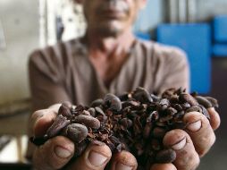 Guantánamo renace con café y chocolate