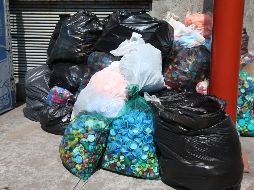 El regidor Juan José Cuevas propone cinco acciones para reducir el consumo de este material en el municipio. EL INFORMADOR/ARCHIVO