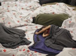 El Gobierno deberá volver a la corte y presentar un plan para cumplir con su orden de reunificar familias. EFE/ ARCHIVO