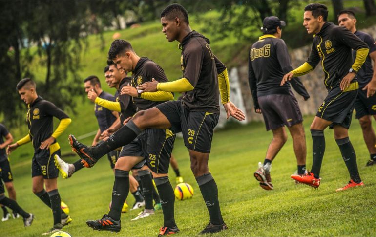 ''En esta institución las metas siempre son altas, todos los partidos se juegan a ganar, no se puede especular'', dice el estratega universitario. FACEBOOK / Leones Negros Universidad de Guadalajara