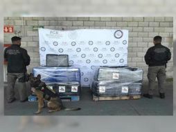 Autoridades informaron que lo asegurado fue remitido ante el Representante Social de la Federación.TWITTER/ @PGR_Jal