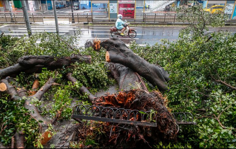 Transeúntes caminan junto a un árbol caído después del paso del tifón 