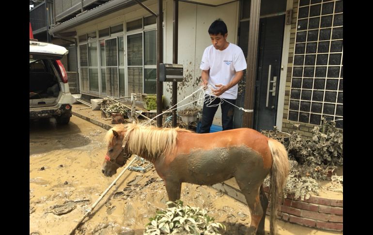 Tras su rescate, fue alojada en una granja y luego regresada a la residencia de ancianos. AFP/Peace Winds Japan