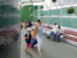 Los mosquitos que proliferan en el aeropuerto son del tipo Cúlex y no transmiten enfermedades como dengue, zika o chikungunya. EL INFORMADOR /A. Camacho