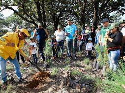 Esta es la primera reforestación en que Laboratorios PiSA participa y planean llevar a cabo más en el futuro.  EL INFORMADOR / G. Gallo