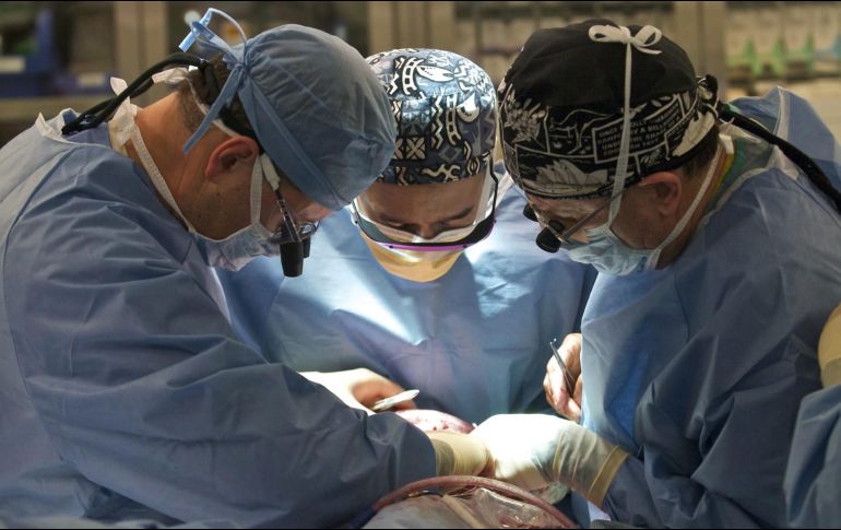 Para la cirugía cuentan con dos equipos multidisciplinarios de médicos, personas de enfermería y técnico que efectúan la cirugía de extracción y el implante. EFE / ARCHIVO