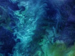 La fotografía capturó las floraciones que ocurren cada primavera en el Mar de Chukchi. ESPECIAL / NASA