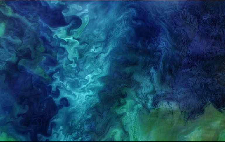 La fotografía capturó las floraciones que ocurren cada primavera en el Mar de Chukchi. ESPECIAL / NASA