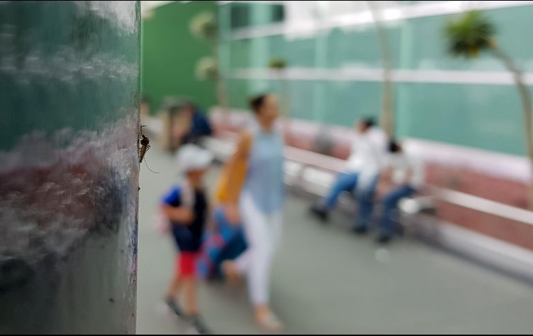 El Aeropuerto continúa con las medidas paliativas  para mitigar el problema, como desazolves, limpiezas de canales, podas, entre otros. EL INFORMADOR / ARCHIVO